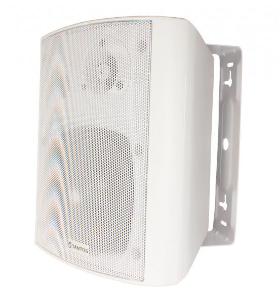 TSo-SW20k Громкоговоритель настенный на кронштейне Фото