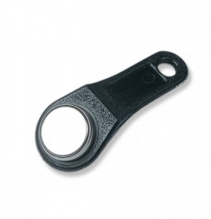 RW1990 перезаписываемый ключ-заготовка ТouchМemory стандарта DS1990 Фото