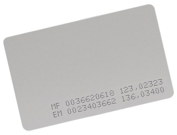 TS-Combi-EMF Бесконтактная карта доступа Фото