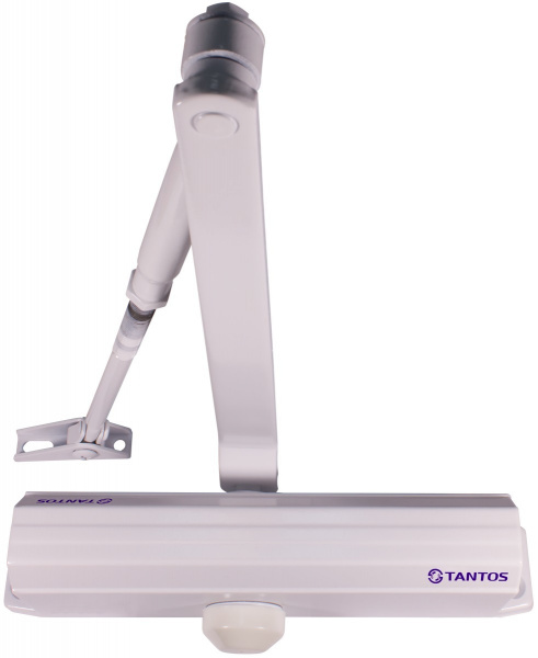 TS-DC120 Freeze (белый) Доводчик дверной морозостойкий Фото