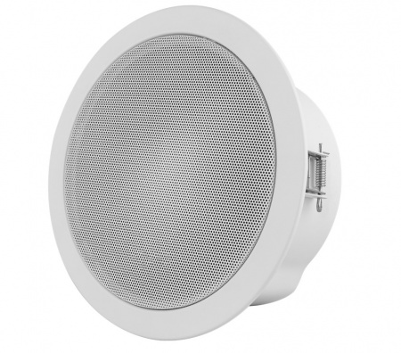 RVi-2PAM1C Сетевой громкоговоритель Фото