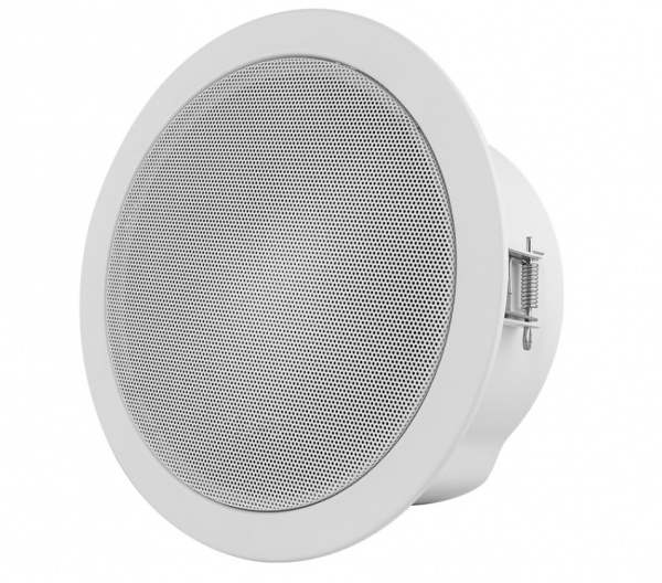 RVi-2PAM1C Сетевой громкоговоритель Фото